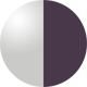 Gunmetal Violet