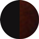 Tortoise Brown