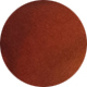 Tortoise Brown
