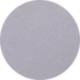 Transparent Gray