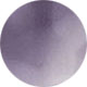 Purple Tortoise