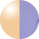 Transparent Purple