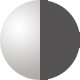 Silver Gray