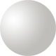 Shiny Silver