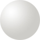 Shiny Silver