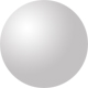 Shiny Silver