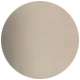 Matte Silver