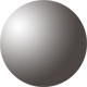 Gunmetal Tortoise