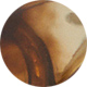 Écailles