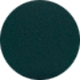 Iridescent Green