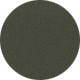 Clear Khaki Green