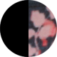 Black Flower