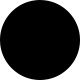 Shinny Black