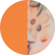 Milky Orange Flower