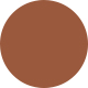 Shiny Copper