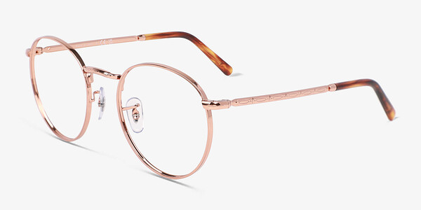 Ray-Ban RB3637V New Round