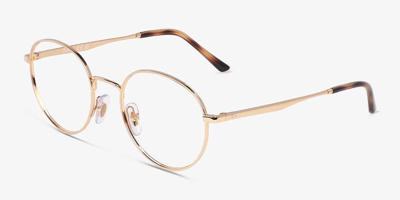 Ray-Ban RB3681V