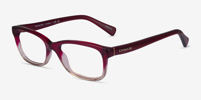 Coach HC6089
