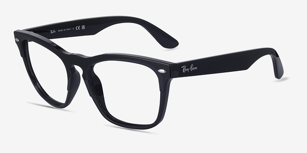 Ray-Ban RB4487V Steve