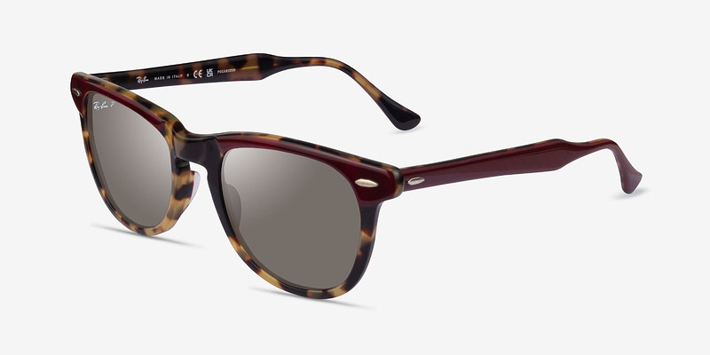 Ray-Ban RB2398