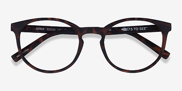 Warm Tortoise Citrus -  Plastic Eyeglasses