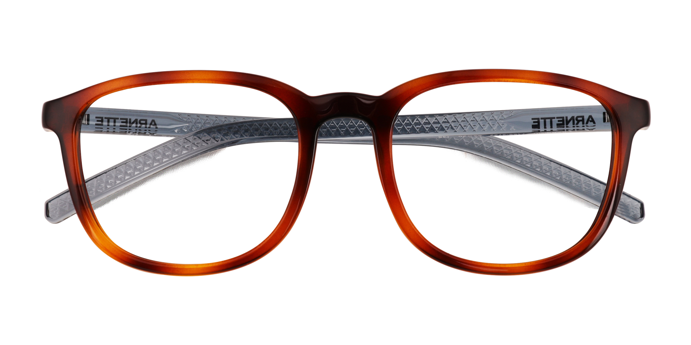 Écailles ARNETTE Karibou - Plastique Lunettes de vue