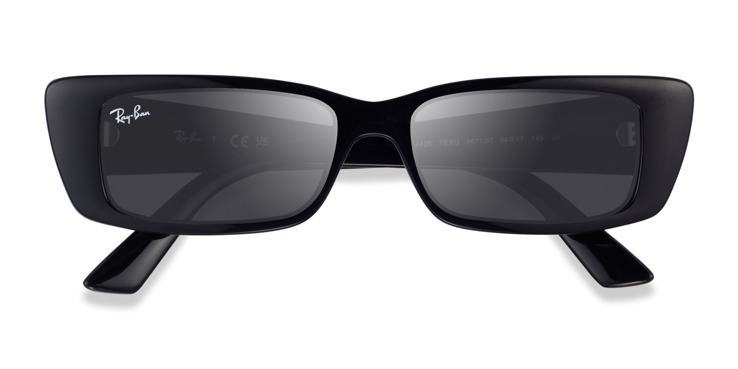 Shiny Black Ray-Ban RB4425 Teru -  Alternative-materials Sunglasses
