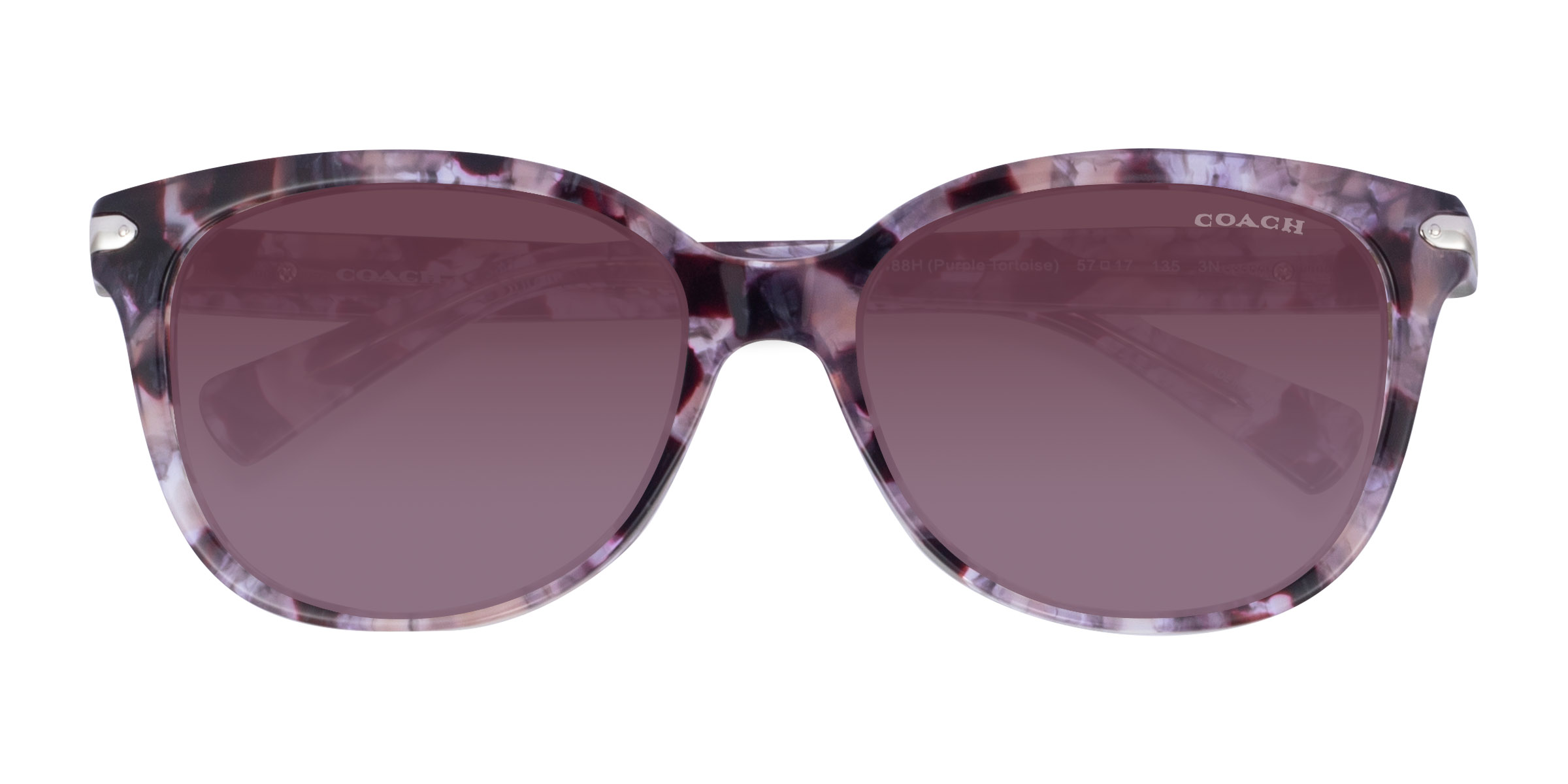 Tortoise Purple Coach HC8132 L109 - Acétate Lunettes de soleil
