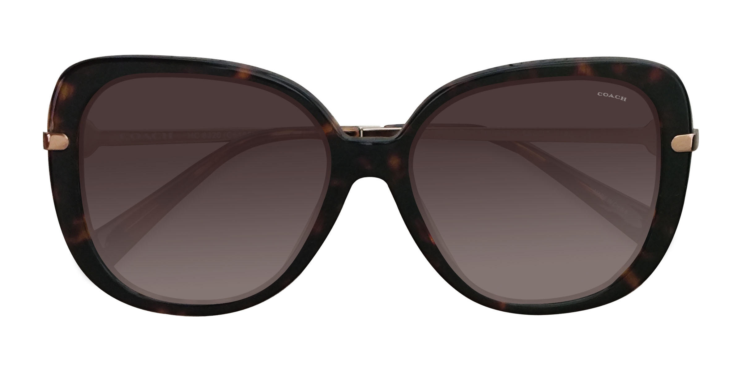 Écaille Noire Coach HC8320 C6180 - Acétate Lunettes de soleil