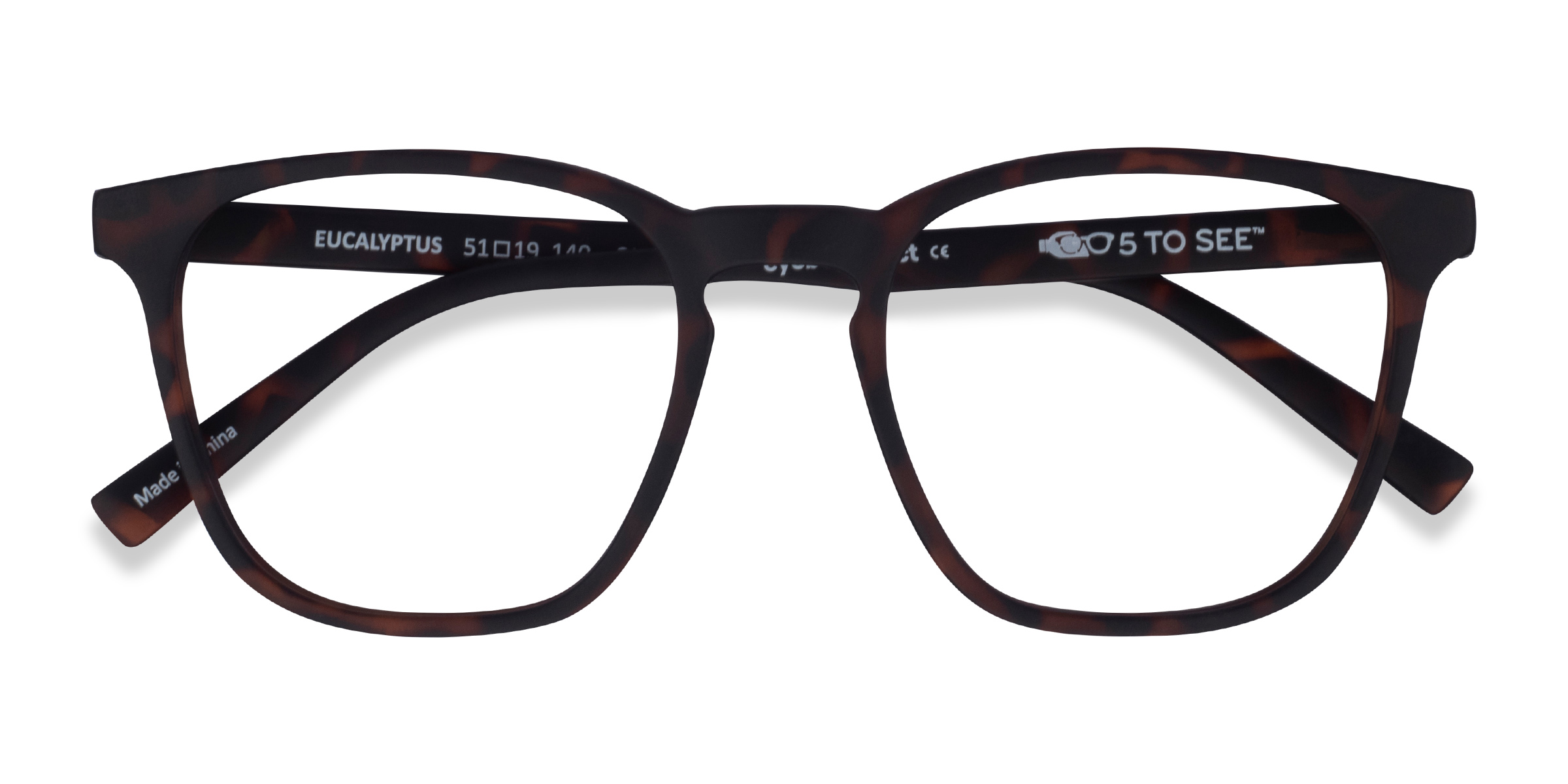 Warm Tortoise Eucalyptus - Plastic Eyeglasses