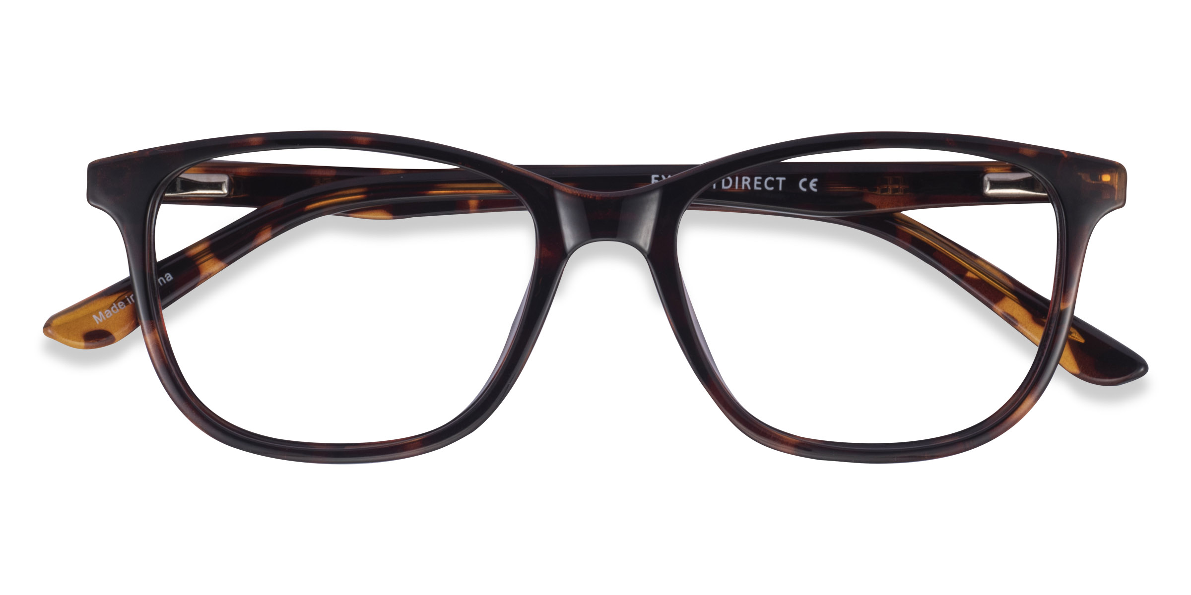 Tortoise Paint - Plastic Eyeglasses
