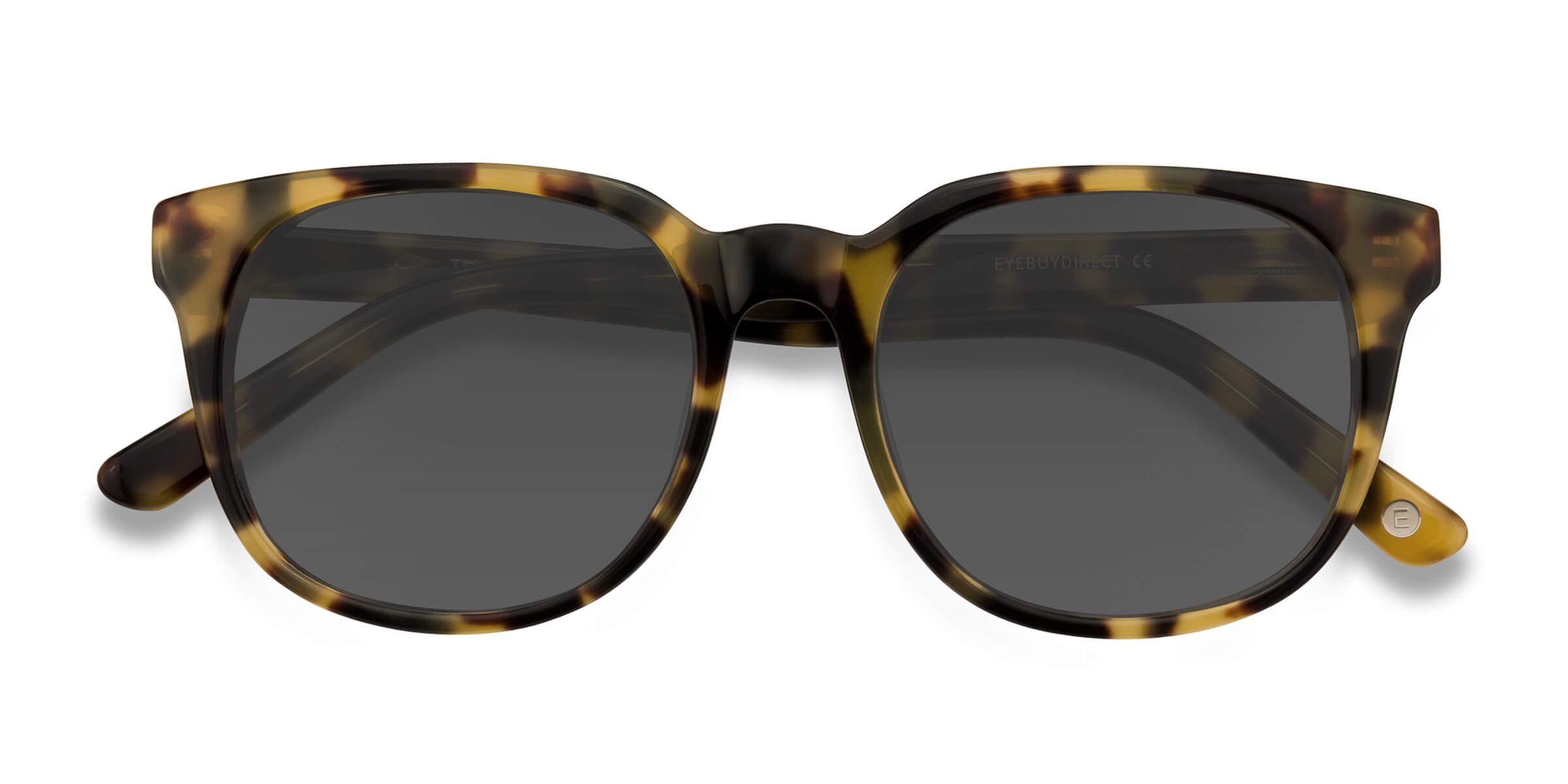 Tortoise Tempest - Acetate Sunglasses
