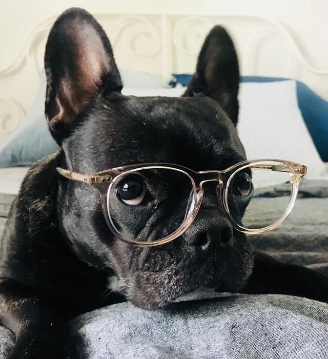 Champagne-Oval-Eyeglasses for Men