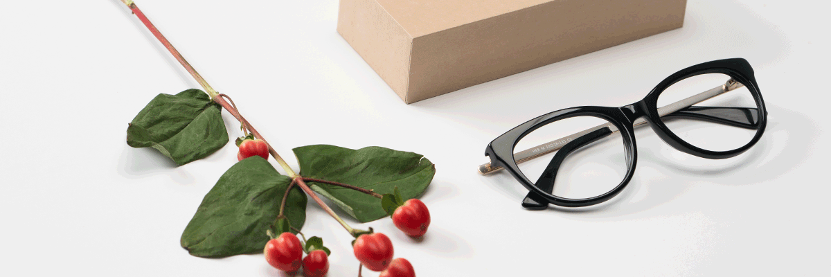 eyeglasses-darken-in-sunlight